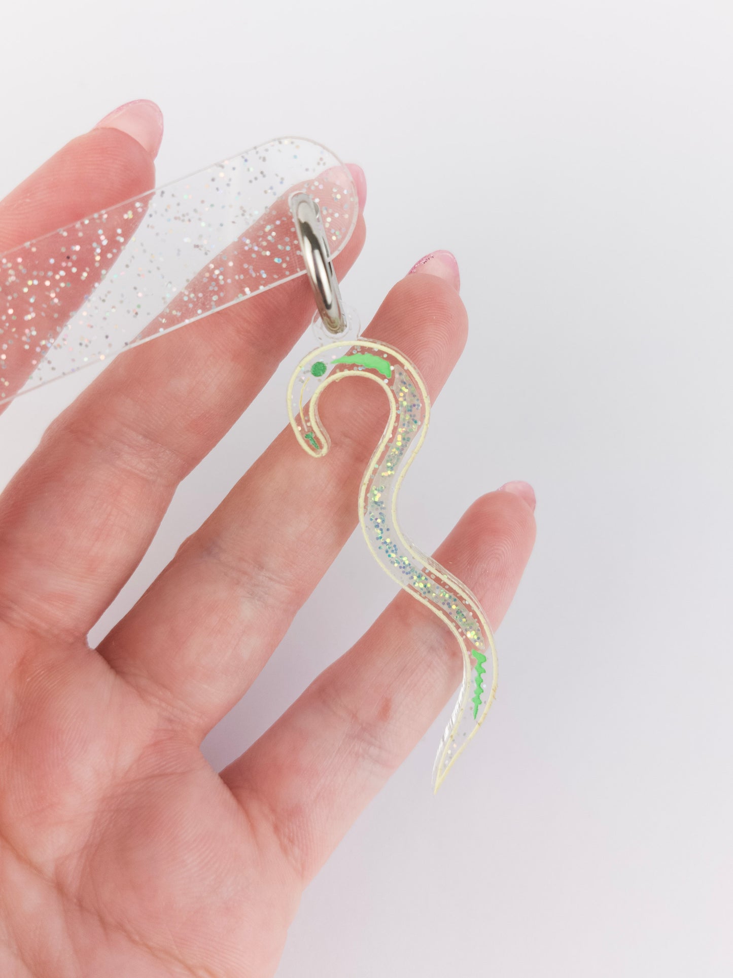 Nematode Earrings - Silver Hoop